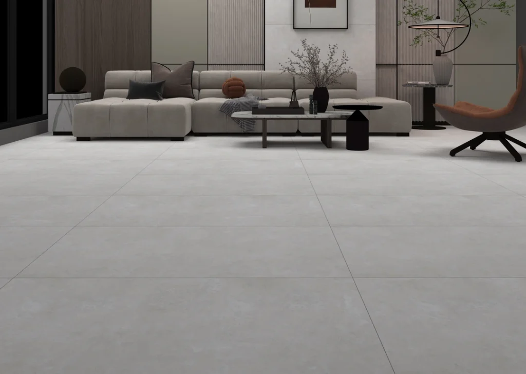 FL ROCA FROST SM 600X1200 GR L copy